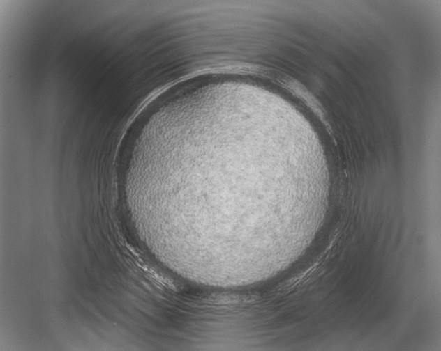 X0000081560829200702121353