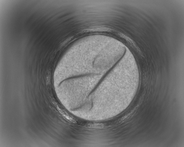 X0000081560833200702121353
