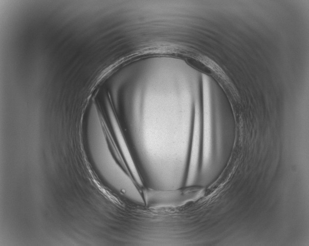 X0000081560842200702121353