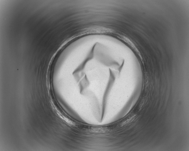 X0000081560843200702121353