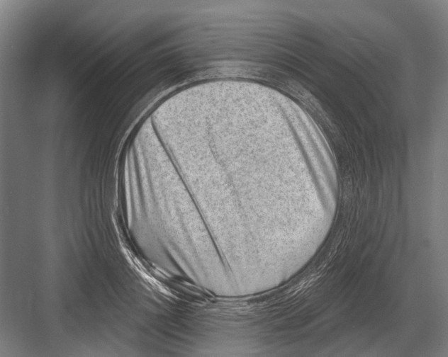 X0000081560844200702121353
