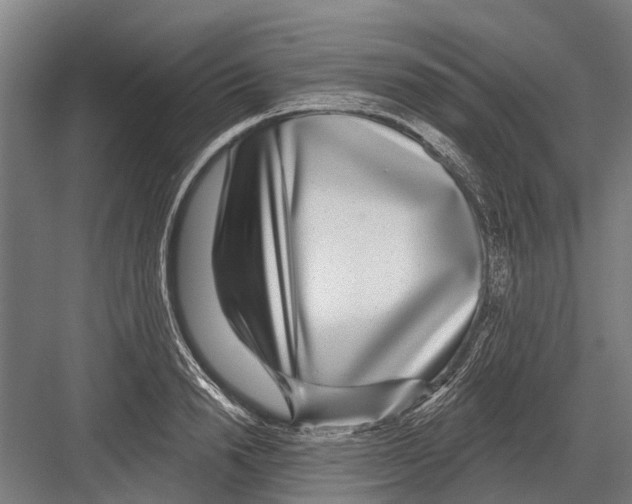 X0000081560846200702121354