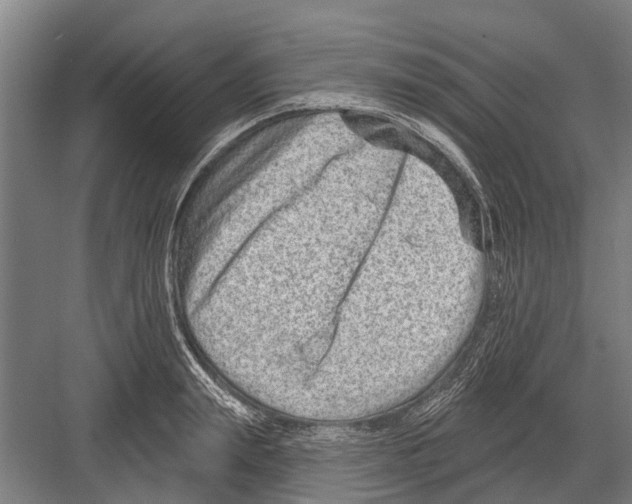 X0000081560847200702121354
