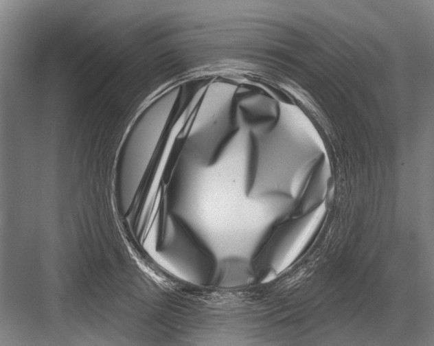 X0000081560850200702121354