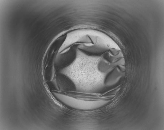 X0000081560854200702121354