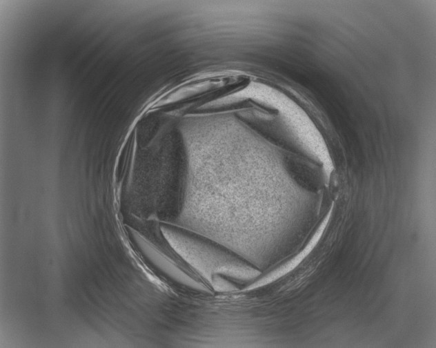 X0000081560858200702121354