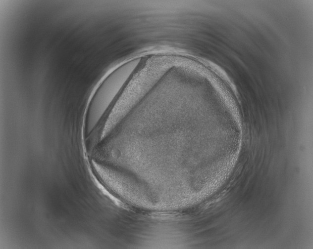X0000081560863200702121354