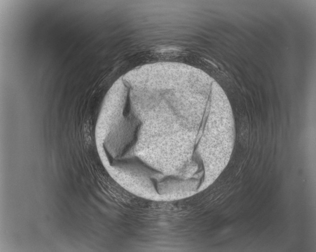 X0000081560866200702121353