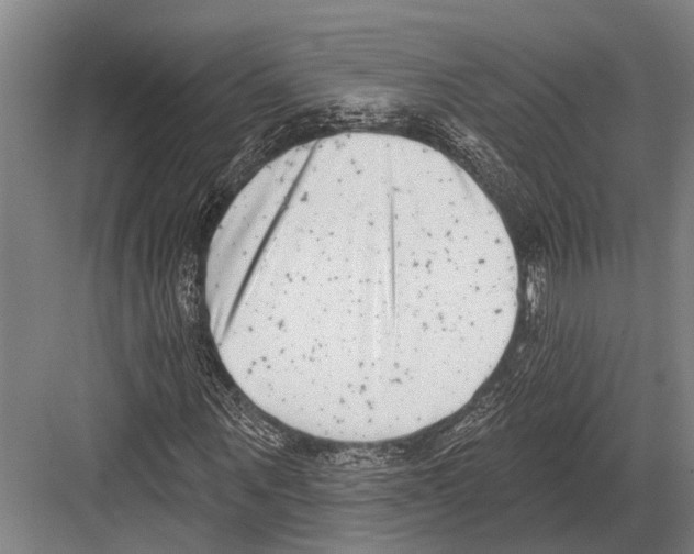 X0000081560867200702121353