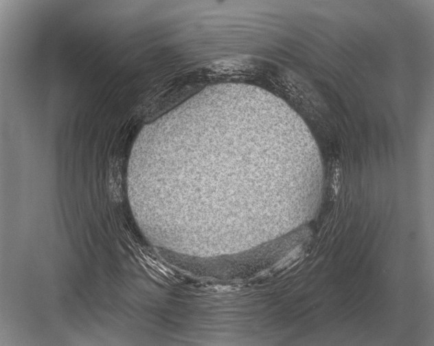 X0000081560868200702121353