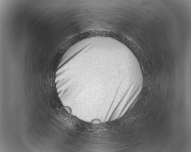 X0000081560870200702121353