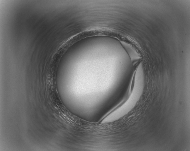 X0000081560872200702121353