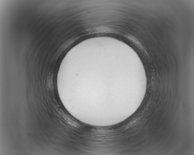 X0000081560873200702121353