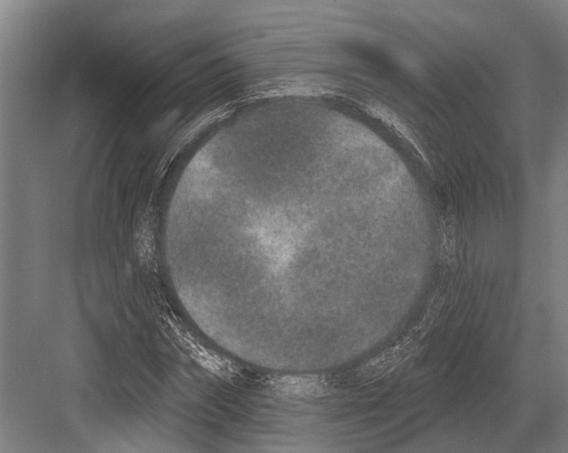 X0000081560874200702121353