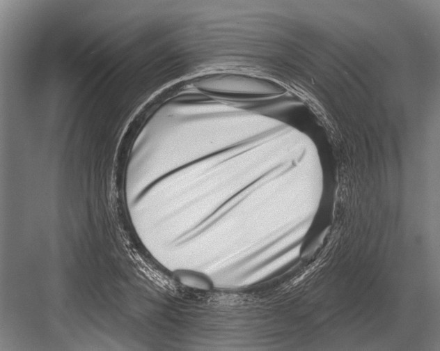 X0000081560880200702121353