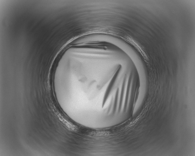 X0000081560884200702121353