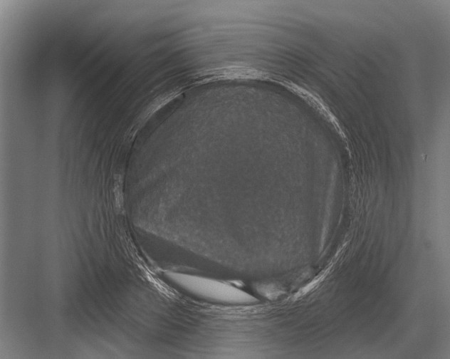 X0000081560889200702121353
