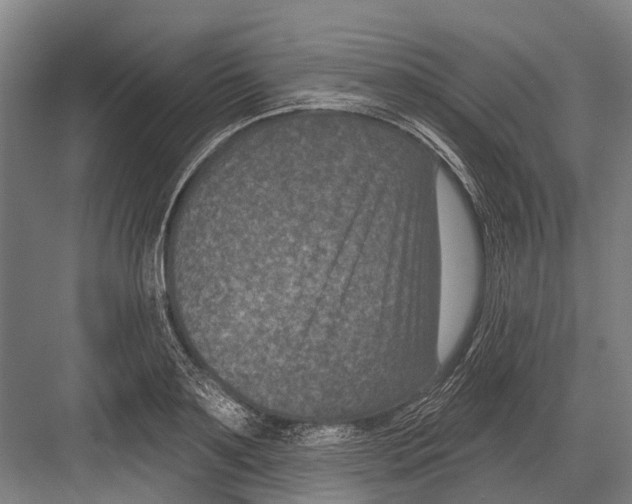 X0000081560891200702121353