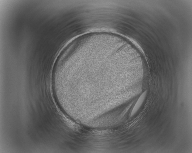 X0000081560895200702121352