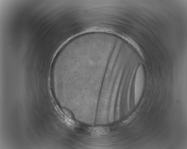 X0000081560896200702121352