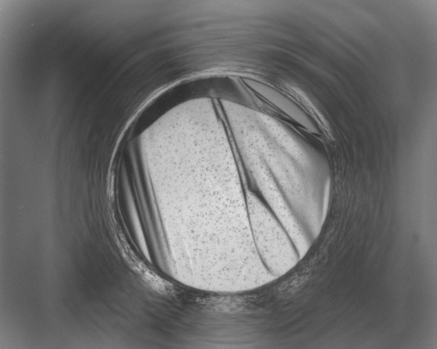 X0000081560900200702121352