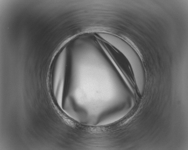 X0000081560901200702121352