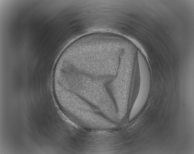 X0000081560903200702121352