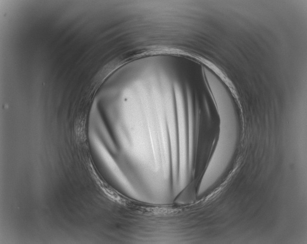 X0000081560905200702121352
