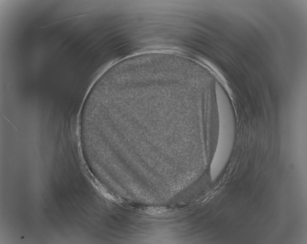 X0000081560907200702121352
