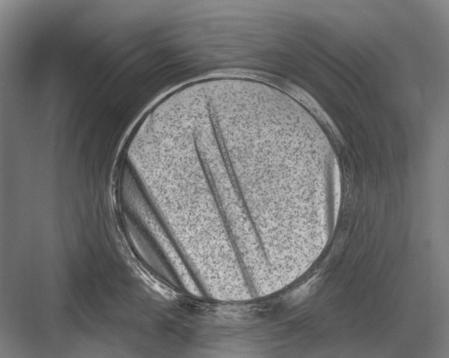 X0000081560908200702121352