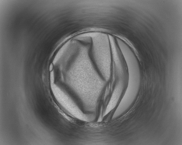 X0000081560910200702121352