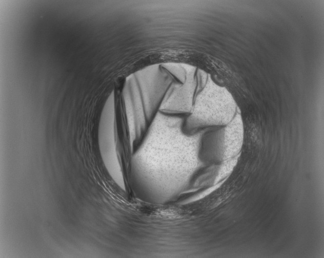 X0000081560914200702121351