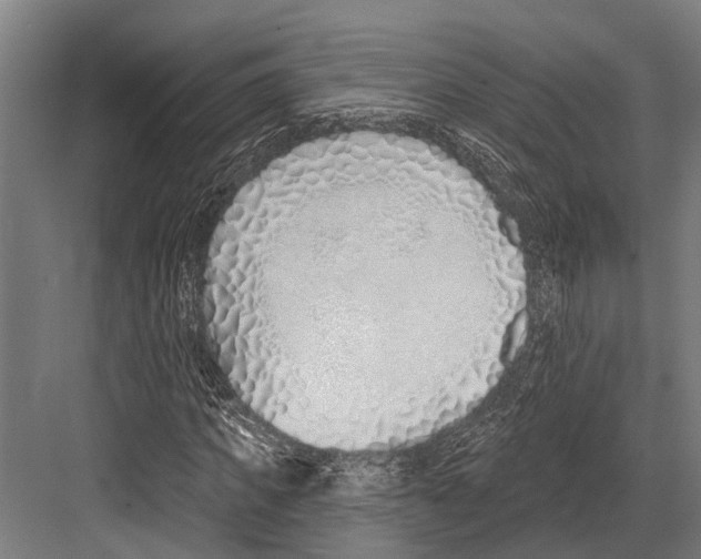 X0000081560917200702121351