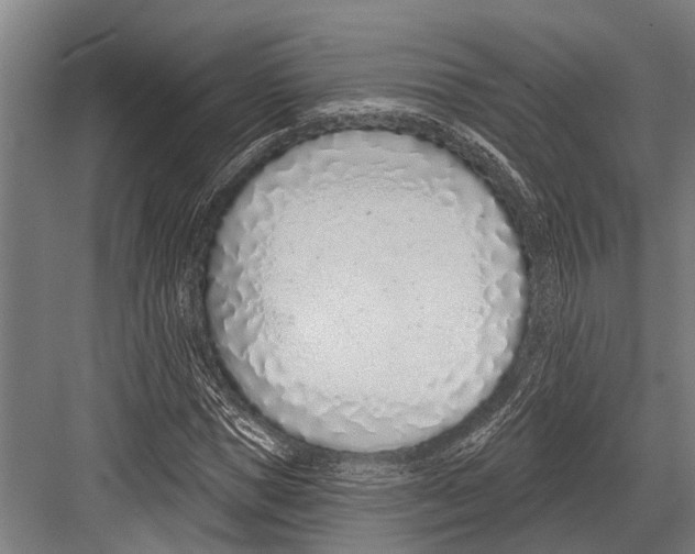 X0000081560921200702121352