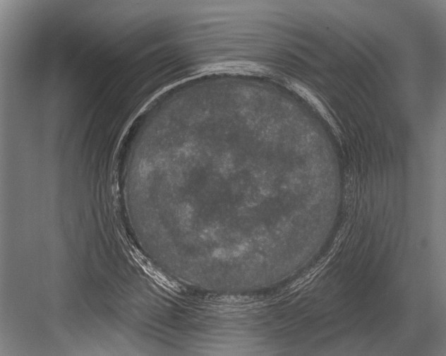 X0000081560923200702121352