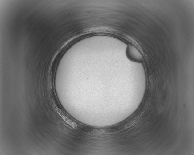 X0000081560931200702121352