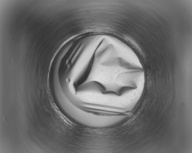 X0000081560932200702121352