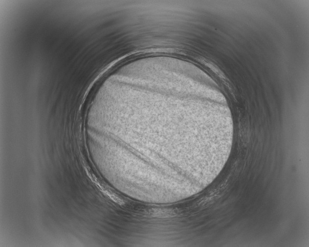 X0000081560933200702121352