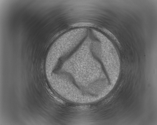 X0000081560937200702121352