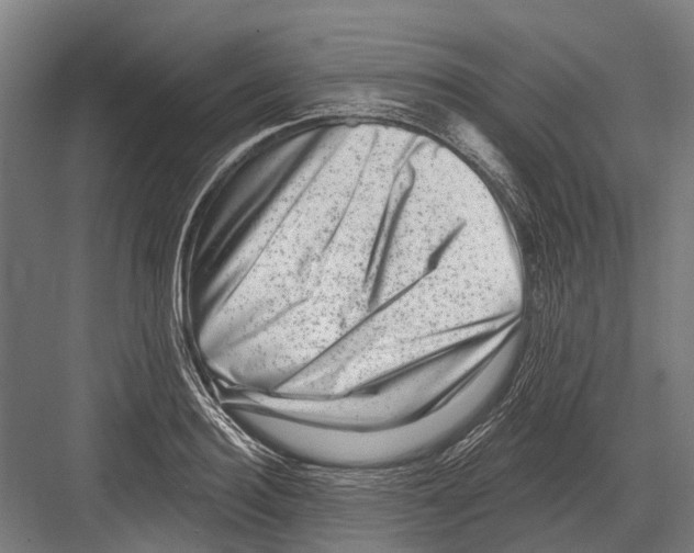 X0000081560940200702121352