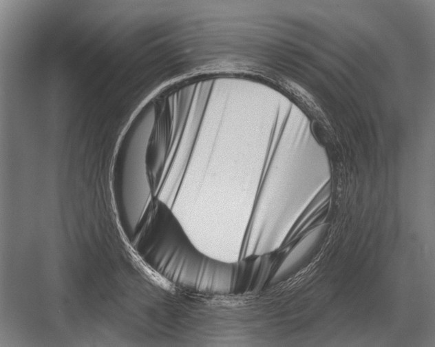 X0000081560942200702121352