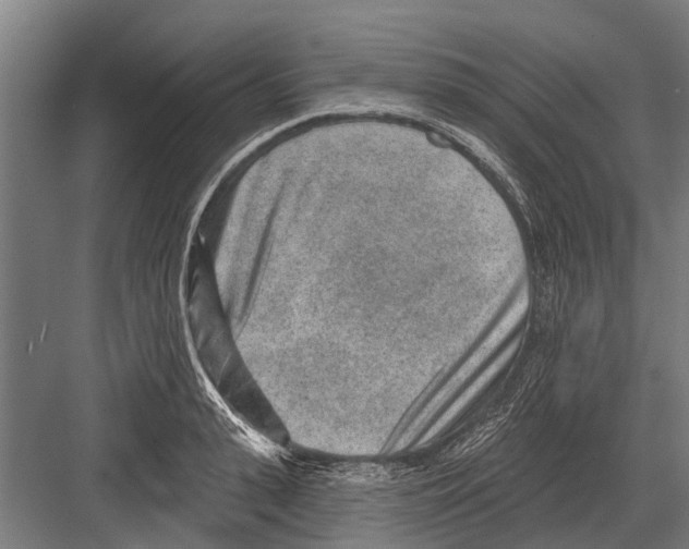 X0000081560943200702121352