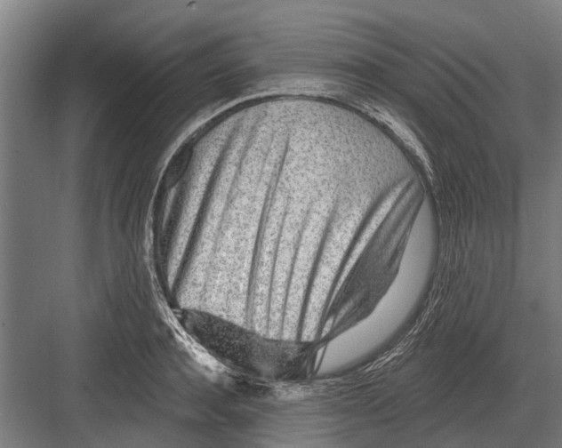X0000081560944200702121352