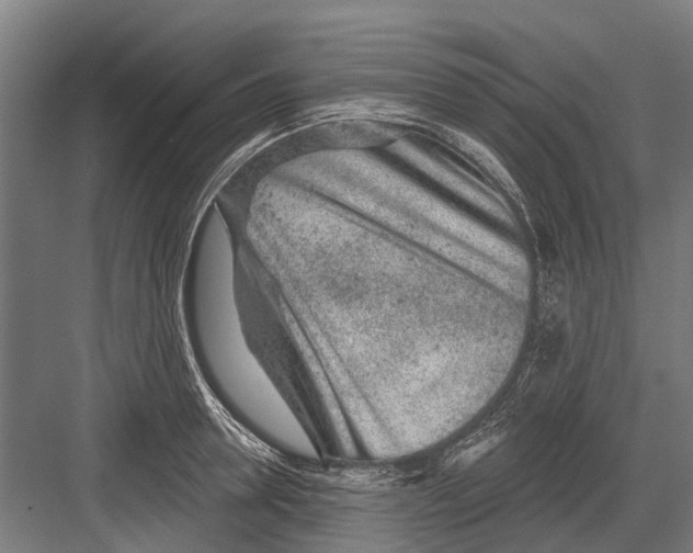 X0000081560946200702121352