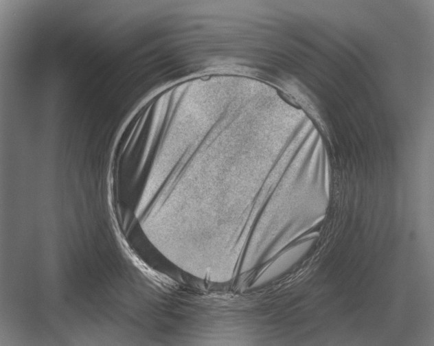 X0000081560955200702121352