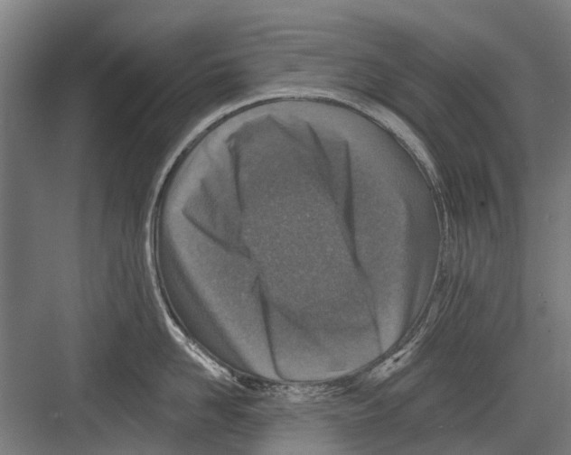 X0000081560958200702121352