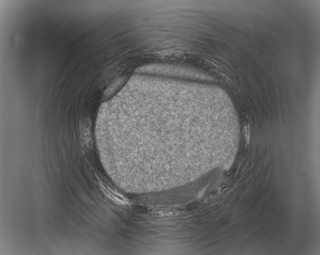 X0000081560963200702121351