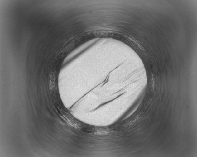 X0000081560964200702121351