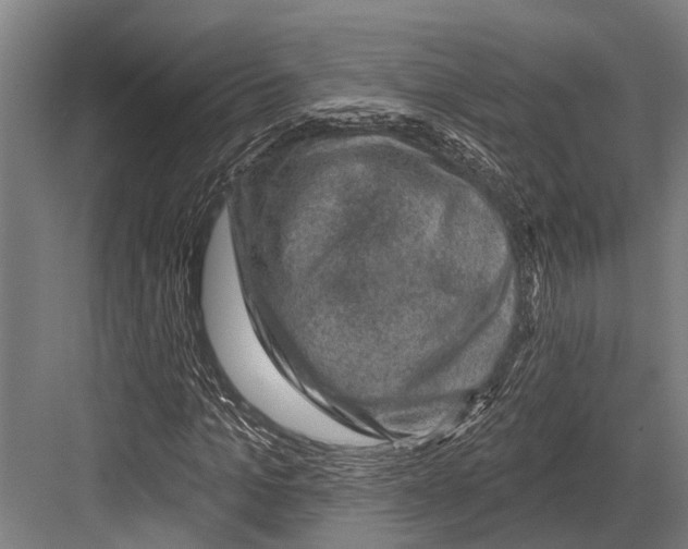 X0000081560965200702121351