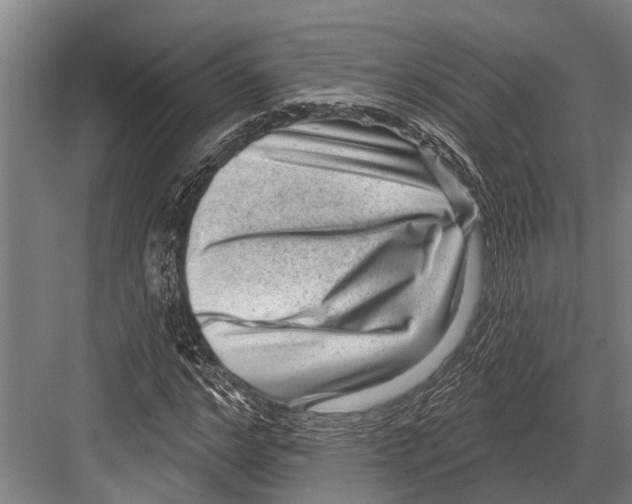 X0000081560968200702121351